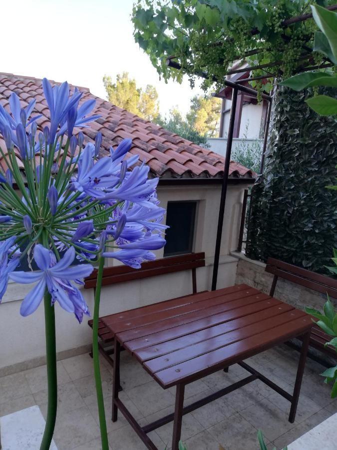 Apartment Adria *